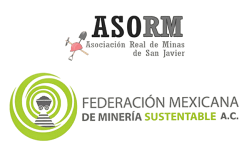 ASORM y FMM